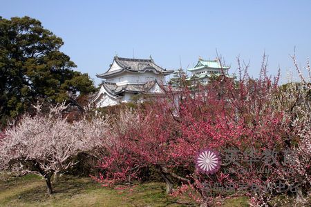 日本著名景点之名古屋介绍-青岛英华日语学校