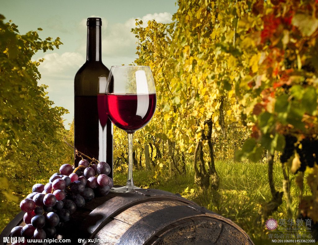 法语阅读：葡萄酒的魅力 如何品葡萄酒